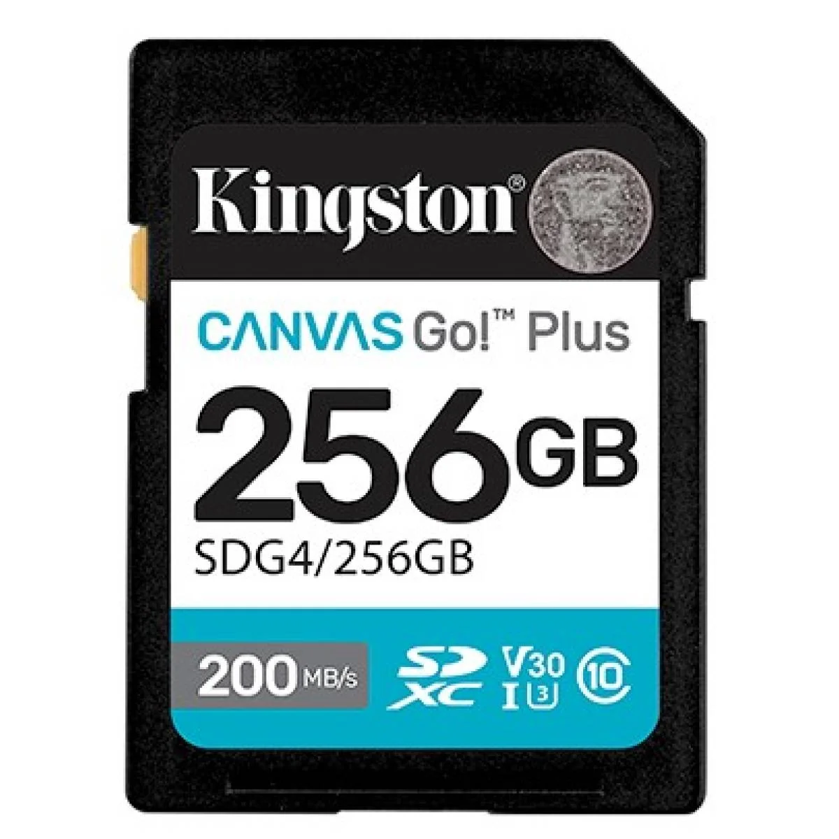 Kingston Canvas Go! Plus SD Memory Card 256GB, 200MB/s Read, 160MB/s Write - Thumbnail 2